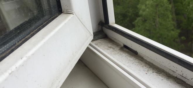Зачем добавляют перекись водорода при мытье окон