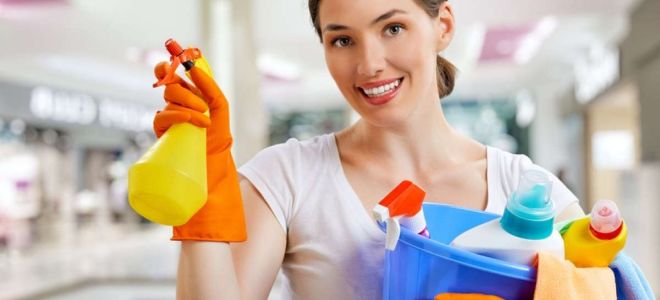 9 советов как чистить сантехнику до бела и не повредить ее