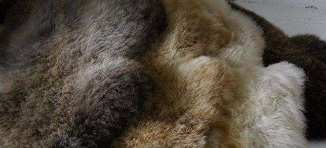 Как в домашних условиях постирать коврик из натуральной овчины