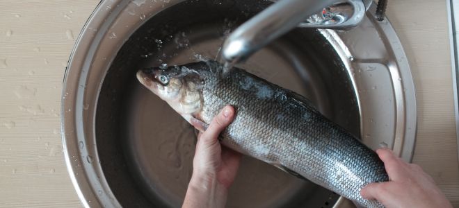 Как избавиться от запаха рыбы на кухне