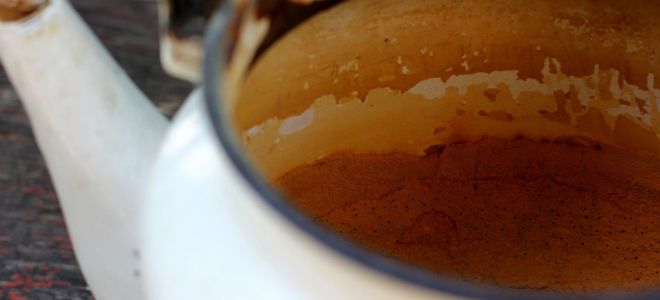 6 лучших домашних средств для удаления накипи