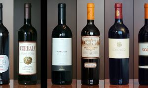 Вино Capannelle: итальянское искусство виноделия