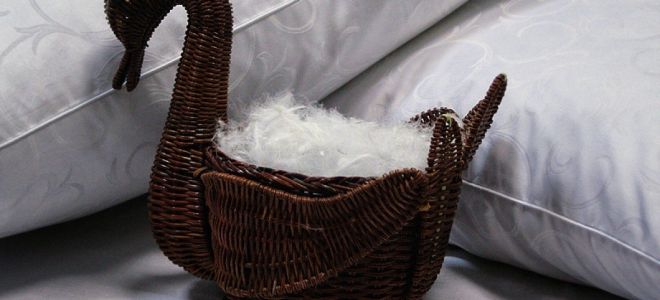 Как почистить перьевые подушки в домашних условиях