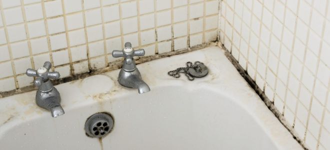 Как отбелить почерневшие швы между плиткой