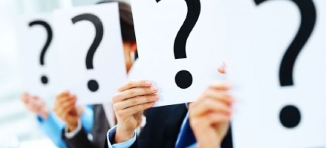 Еще одно напутствие начинающим фрилансерам