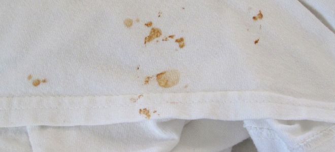 Как и чем отстирать пятна ржавчины с одежды в домашних условиях